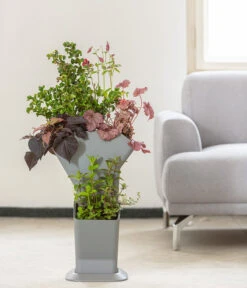 Kunststoff-Pflanzbaum-Set, Grau, Ca. B31,3/H77,3/31,3 Cm 19 Kunststoff-Pflanzbaum-Set, Grau, Ca. B31,3/H77,3/31,3 Cm -Haus Pflanzen Welt 6739528 WE MO 004 KunststoffPflanzbaumSetgrau