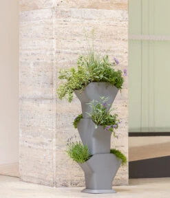 Kunststoff-Pflanzbaum-Set, Grau, Ca. B31,3/H77,3/31,3 Cm 20 Kunststoff-Pflanzbaum-Set, Grau, Ca. B31,3/H77,3/31,3 Cm -Haus Pflanzen Welt 6739528 WE MO 005 KunststoffPflanzbaumSetgrau