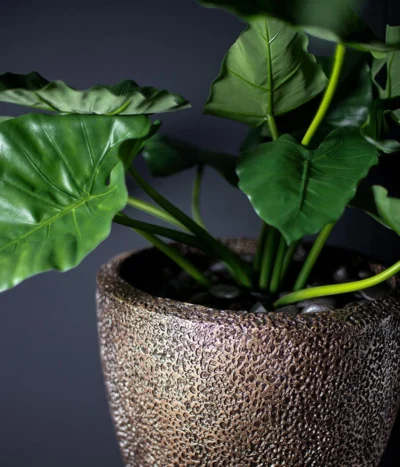 Fleur Ami Kunststoff-Topf Coral, Konisch, Bronze -Haus Pflanzen Welt 6757801 WE MO 002 FleurAmiPflanzgefaessCoral