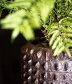 Fleur Ami Kunststoff-Topf Croc, Konisch, Bronze, Ca. Ø47/H56 Cm -Haus Pflanzen Welt 6758999 WE MO 002 FleurAmiPflanzgefaessCroc