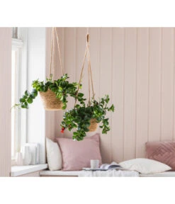 Dehner Seegras-Ampel Igmar -Haus Pflanzen Welt 6759393 WE MO 005 AmpelIgmarBraun