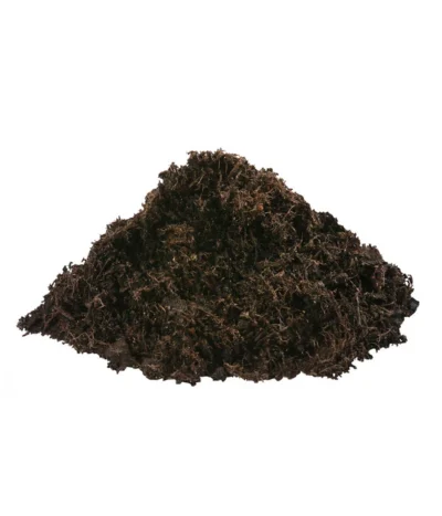 Dehner Green Nature Universal-Erde, 48 X 40 Liter -Haus Pflanzen Welt 6759815 WE DE 002 DehnerGreenNatureUniversalErde18l 1