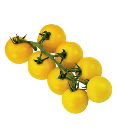 Sonnenparadeiser, Gelb -Haus Pflanzen Welt 6766794 WE FS 002 SonnentomateGelb