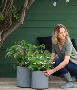 Vasar Kunststoff-Topf City, Grau -Haus Pflanzen Welt 6770911 6771166 6771190 WE MO 002 VasarKunststofftopfCityGrau