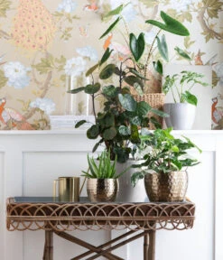 Dehner Metall-Übertopf Kody, Bauchig, Gold -Haus Pflanzen Welt 6784912 WE MO 001 TopfKodyGold TE GreenMixed 1