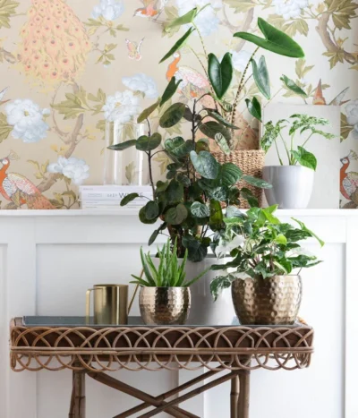 Dehner Metall-Übertopf Kody, Bauchig, Gold -Haus Pflanzen Welt 6784912 WE MO 001 TopfKodyGold TE GreenMixed 1