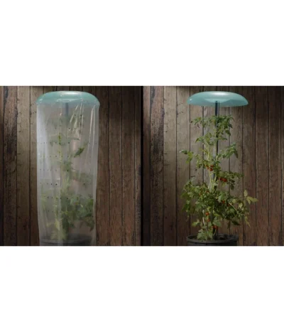 KHW Tomatenhut -Haus Pflanzen Welt 6818819 WE DE 001 Tomatenhut 2erSet