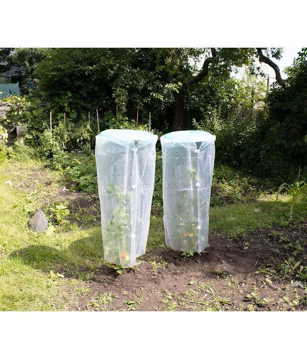 KHW Tomatenhut 4 KHW Tomatenhut – Bild 2