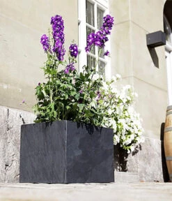 Climaqua Schiefer-Kasten Recto, Rechteckig -Haus Pflanzen Welt 6877898 WE MO 001 ClimaquaSchieferKastenRectorechteckig