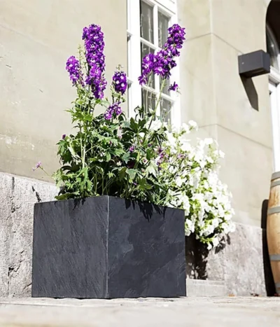 Climaqua Schiefer-Kasten Recto, Rechteckig 8 Climaqua Schiefer-Kasten Recto, Rechteckig -Haus Pflanzen Welt 6877898 WE MO 001 ClimaquaSchieferKastenRectorechteckig