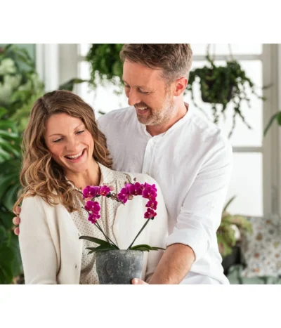 Dehner Keramik-Übertopf Nature Earth, Konisch, Grau, Ca. Ø14 Cm -Haus Pflanzen Welt 6895577 WE MO 001 OrchideentopfNature