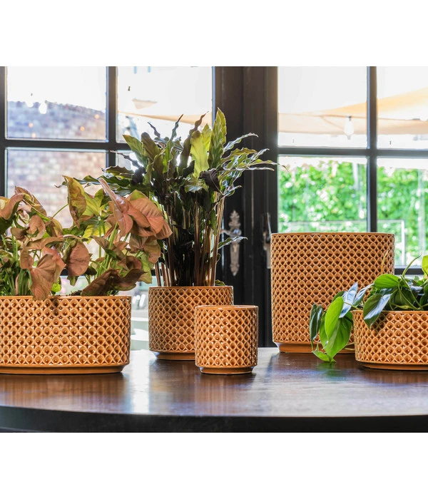 Dehner Keramik-Jardiniere Thies, Oval, Gelb, Ca. B26/H25/T12 Cm 4 Dehner Keramik-Jardiniere Thies, Oval, Gelb, Ca. B26/H25/T12 Cm – Bild 2