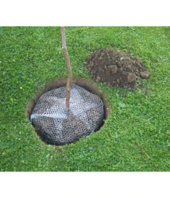 Wühlmauskorb -Haus Pflanzen Welt 6920136 WE MO 002 Wuehlmauskorb