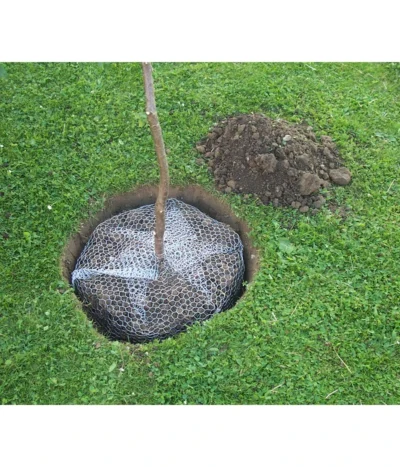 Wühlmauskorb -Haus Pflanzen Welt 6920136 WE MO 002 Wuehlmauskorb