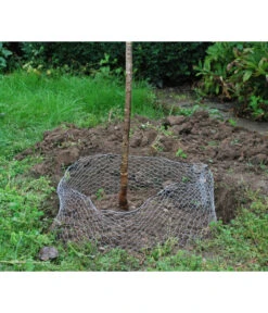 Wühlmauskorb -Haus Pflanzen Welt 6920136 WE MO 003 Wuehlmauskorb