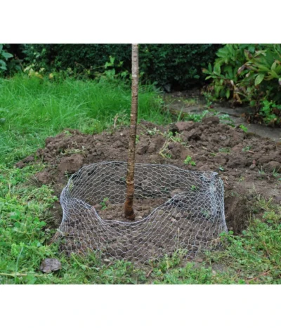 Wühlmauskorb -Haus Pflanzen Welt 6920136 WE MO 003 Wuehlmauskorb