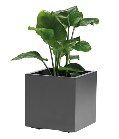 Kunststoff-Topf, Quadratisch, Ca. B40/H40/T40 Cm -Haus Pflanzen Welt 6935407 WE FS 002 PflanzenkuebelKebeGreener40cmAnthrazit