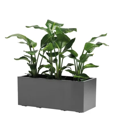 Kunststoff-Kasten Kebe, Rechteckig, Ca. B100/H40/T40 Cm -Haus Pflanzen Welt 6935449 WE FS 002 PflanzenkastenKebeGreener100cmAnthrazit