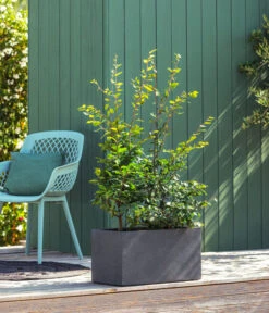 Kunststoff-Kasten Kebe, Rechteckig, Ca. B100/H40/T40 Cm -Haus Pflanzen Welt 6935449 WE MO 001 PflanzkastenKebeAnthrazit