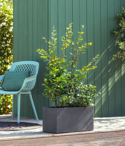 Kunststoff-Kasten Kebe, Rechteckig, Ca. B100/H40/T40 Cm -Haus Pflanzen Welt 6935449 WE MO 001 PflanzkastenKebeAnthrazit