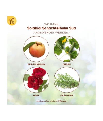 Solabiol® Schachtelhalm Sud, 1 L -Haus Pflanzen Welt 6938187 WE DE 003 SolabiolSchachtelhalmSud