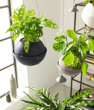 LECHUZA® BOLA Color, All-in-One Set -Haus Pflanzen Welt 6938724 6938708 6938732 6938815 6938807 6938823 WE MO 004 BolaColor