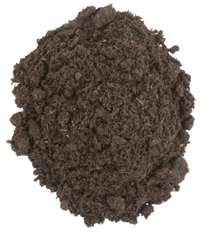 COMPO BIO Zitrus-Pflanzenerde, 10 L -Haus Pflanzen Welt 6941009 WE DE 002 CompoBIOZitruspflanzenErde