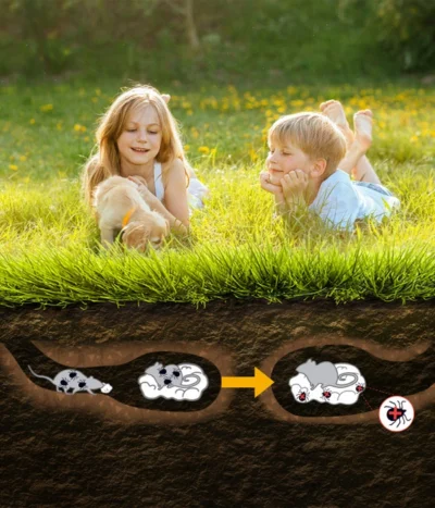 Thermacell Zeckenschutz Protect 9 Thermacell Zeckenschutz Protect -Haus Pflanzen Welt 6941017 WE DE 001 ThermacellZeckenschutzProtect