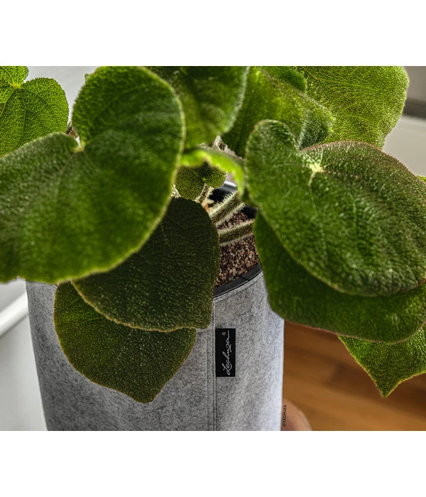 LECHUZA® TRENDCOVER Felt, All-in-One Set 6 LECHUZA® TRENDCOVER Felt, All-in-One Set – Bild 4