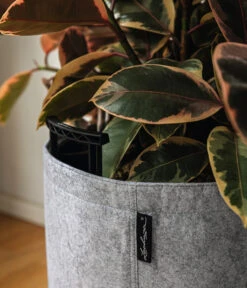 LECHUZA® TRENDCOVER Felt, All-in-One Set 11 LECHUZA® TRENDCOVER Felt, All-in-One Set -Haus Pflanzen Welt 6947121 6946933 WE MO 001 TrendcoverFeltDunkelgrau