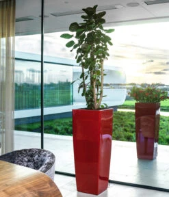 LECHUZA® CUBICO ALTO, All-in-One-Set, Ca. B40/H105/T40 Cm -Haus Pflanzen Welt 6962278 WE MO 01 CUBICOAltoRot