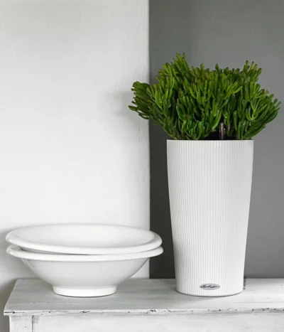 LECHUZA® CILINDRO Color, All-in-One Set 11 LECHUZA® CILINDRO Color, All-in-One Set -Haus Pflanzen Welt 6963318 WE MO 03 CilindroColorWeiss