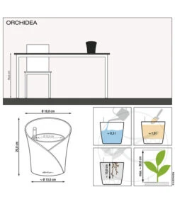 LECHUZA® ORCHIDEA, All-in-One Set, Ca. Ø18/H20 Cm -Haus Pflanzen Welt 6963375 6963383 6963391 WE MO 01 OrchideaWeissAnthraRot