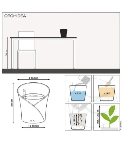 LECHUZA® ORCHIDEA, All-in-One Set, Ca. Ø18/H20 Cm -Haus Pflanzen Welt 6963375 6963383 6963391 WE MO 01 OrchideaWeissAnthraRot