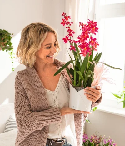 LECHUZA® ORCHIDEA, All-in-One Set, Ca. Ø18/H20 Cm -Haus Pflanzen Welt 6963375 WE MO 01 OrchideaWeiss