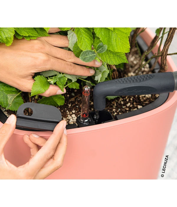 LECHUZA® Kunststoff-Topf Pila Color Planter, Rund, Ca. Ø35/H33 Cm 6 LECHUZA® Kunststoff-Topf Pila Color Planter, Rund, Ca. Ø35/H33 Cm – Bild 4