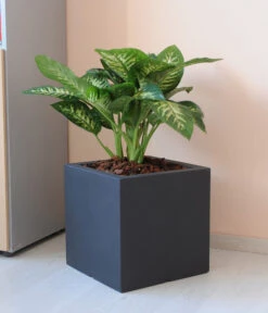 Farmet New Doppelwandiger Kunststoff-Kübel Atlantis, Quadratisch, Dunkelgrau, Inkl. Untersetzer -Haus Pflanzen Welt 6965065 WE MO 001 FarmetNewdoppelwandigerKunststoffKuebelAtlantisrechteckig