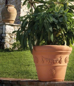 Farmet New Kunststoff-Topf Festonato, Rund, Terrakotta, Inkl. Untersetzer -Haus Pflanzen Welt 6965198 WE MO 001 FarmetNewKunststoffBlumentopfFestonatorundterrakotta