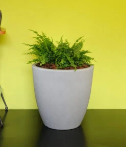 Farmet New Kunststoff-Kübel Orione Alto, Rund, Inkl. Untersetzer 8 Farmet New Kunststoff-Kübel Orione Alto, Rund, Inkl. Untersetzer -Haus Pflanzen Welt 6965396 WE MO 001 FarmetNewKunststoffKuebelOrioneAltorund