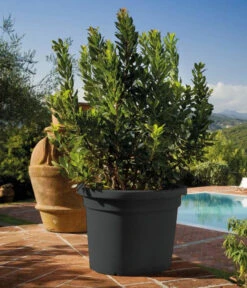 Farmet New Kunststoff-Topf, Konisch, Inkl. Untersetzer -Haus Pflanzen Welt 6965511 WE MO 001 FarmetNewKunststoffTopfZylindrischrund