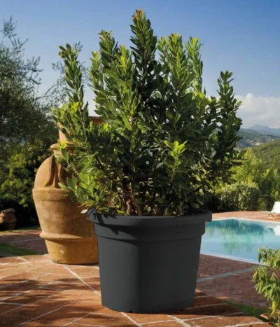 Farmet New Kunststoff-Topf, Konisch, Inkl. Untersetzer -Haus Pflanzen Welt 6965511 WE MO 001 FarmetNewKunststoffTopfZylindrischrund