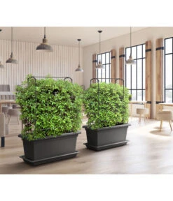 Magnus Kunststoff-Blumenkasten, Rechteckig. Ca. B98/H37/T38 Cm -Haus Pflanzen Welt 6997449 WE MO 001 MagnusKunststoffBlumenkastenschwarz