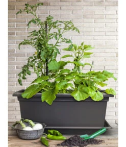 Magnus Kunststoff-Blumenkasten, Rechteckig. Ca. B98/H37/T38 Cm -Haus Pflanzen Welt 6997449 WE MO 003 MagnusKunststoffBlumenkastenschwarz