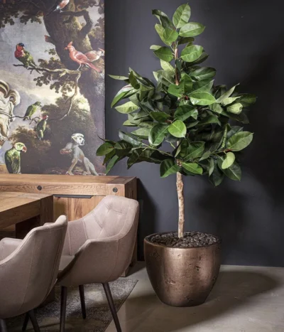 Fleur Ami Kunststoff-Vase Magnifico, Konisch, Bronze 7 Fleur Ami Kunststoff-Vase Magnifico, Konisch, Bronze -Haus Pflanzen Welt 6999536 WE MO 001 fleuramiKunststoffTopfMagnificorundbronze