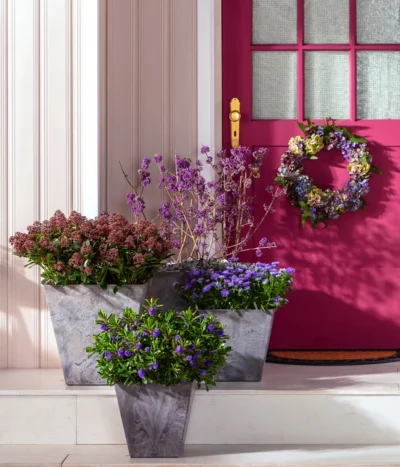 Liebesperlenstrauch 'Profusion' -Haus Pflanzen Welt 7084478 7084460 WE MO 001 Liebesperlenstrauch TopfElla