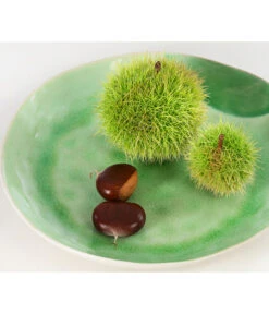 Esskastanie 9 Esskastanie -Haus Pflanzen Welt 7091580 PR DE 002 CastaneaSativaEsskastanieDehnerExpressHerzig