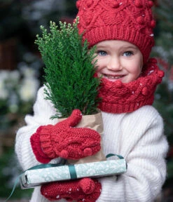 Scheinzypresse 'Snow White' 7 Scheinzypresse 'Snow White' -Haus Pflanzen Welt 7109762 WE MO 001 ScheinzypresseSnowWhite