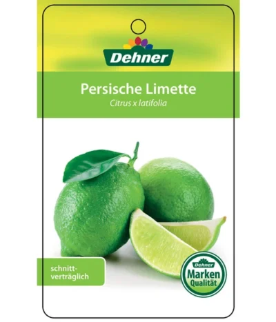 Limette 'Lima Verde' -Haus Pflanzen Welt 7119001 PersischeLimette Etikett 1