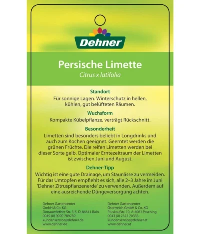 Limette 'Lima Verde' -Haus Pflanzen Welt 7119001 PersischeLimette Etikett 2