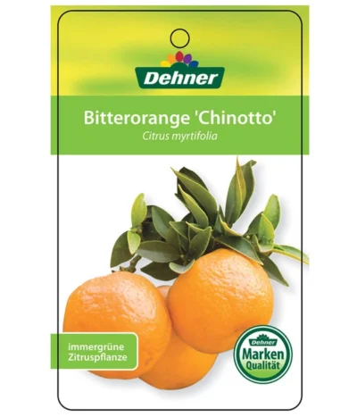 Bitterorange 'Chinotto' -Haus Pflanzen Welt 7119803 BitterorangeChinottoEtikett1